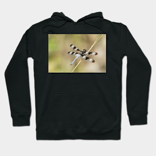 Basking Hoodie